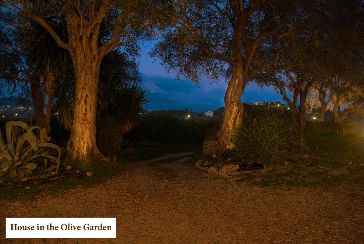 Апартаменты House In The Olive Garden Agios Ioannis  Экстерьер фото