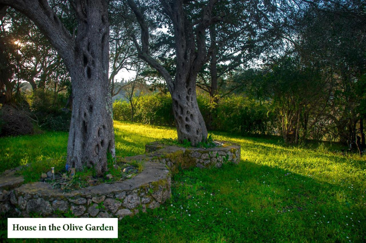 Апартаменты House In The Olive Garden Agios Ioannis  Экстерьер фото