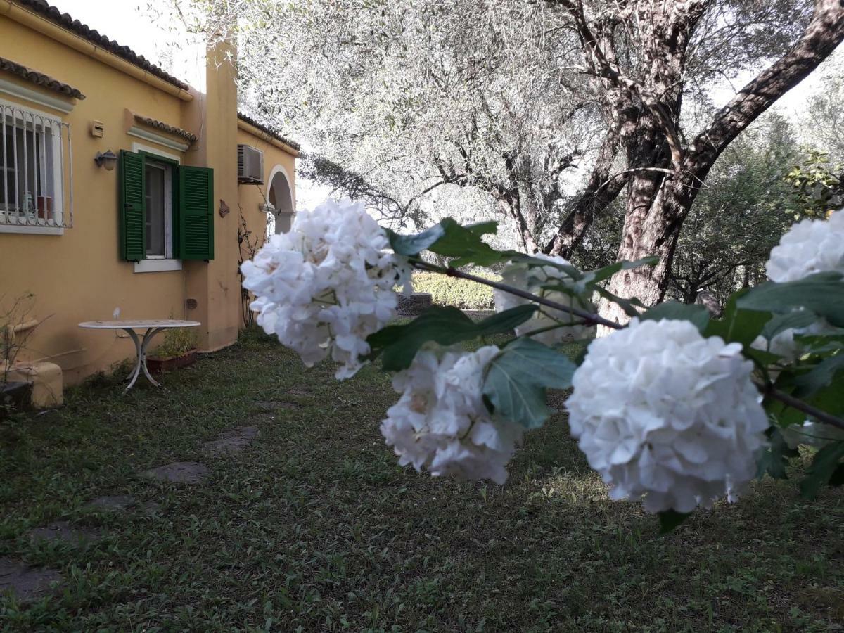 Апартаменты House In The Olive Garden Agios Ioannis  Экстерьер фото