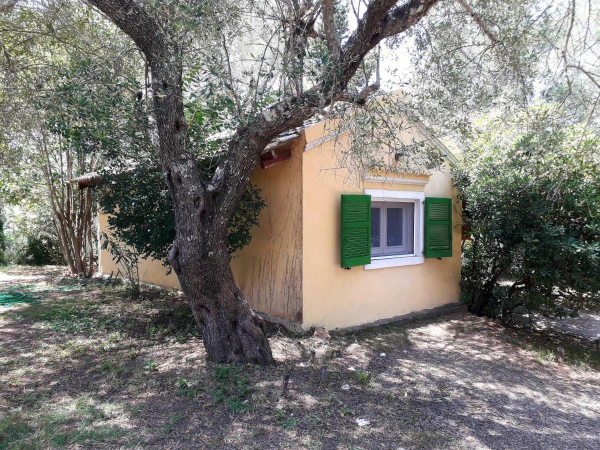 Апартаменты House In The Olive Garden Agios Ioannis  Экстерьер фото